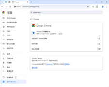 Google Chrome v148.0.7778.168绿色便携版